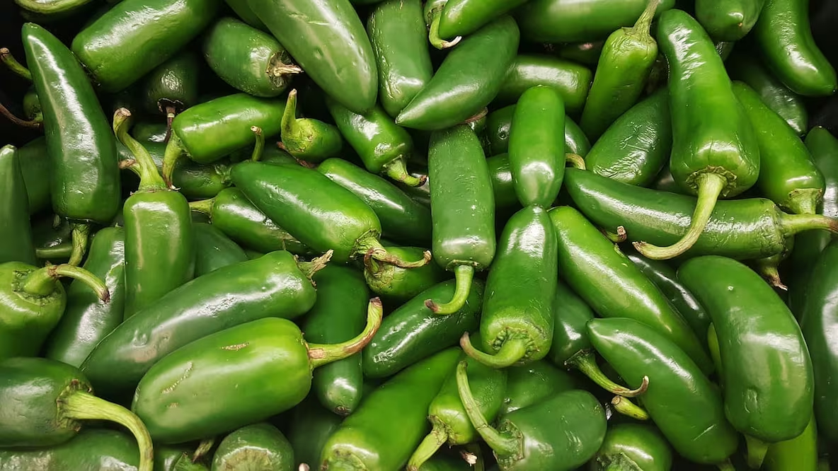 Sinaloa investiga posible origen de chile contaminado que provocó brote de salmonelosis en EU; entidad destaca por estrictos controles sanitarios