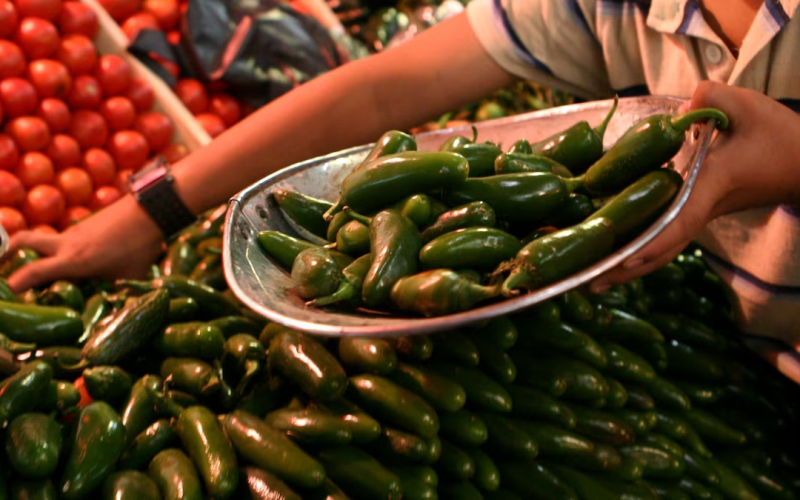 Brote de salmonela en EU: Cofepris investiga planta empacadora de chiles jalapeños en Nuevo León