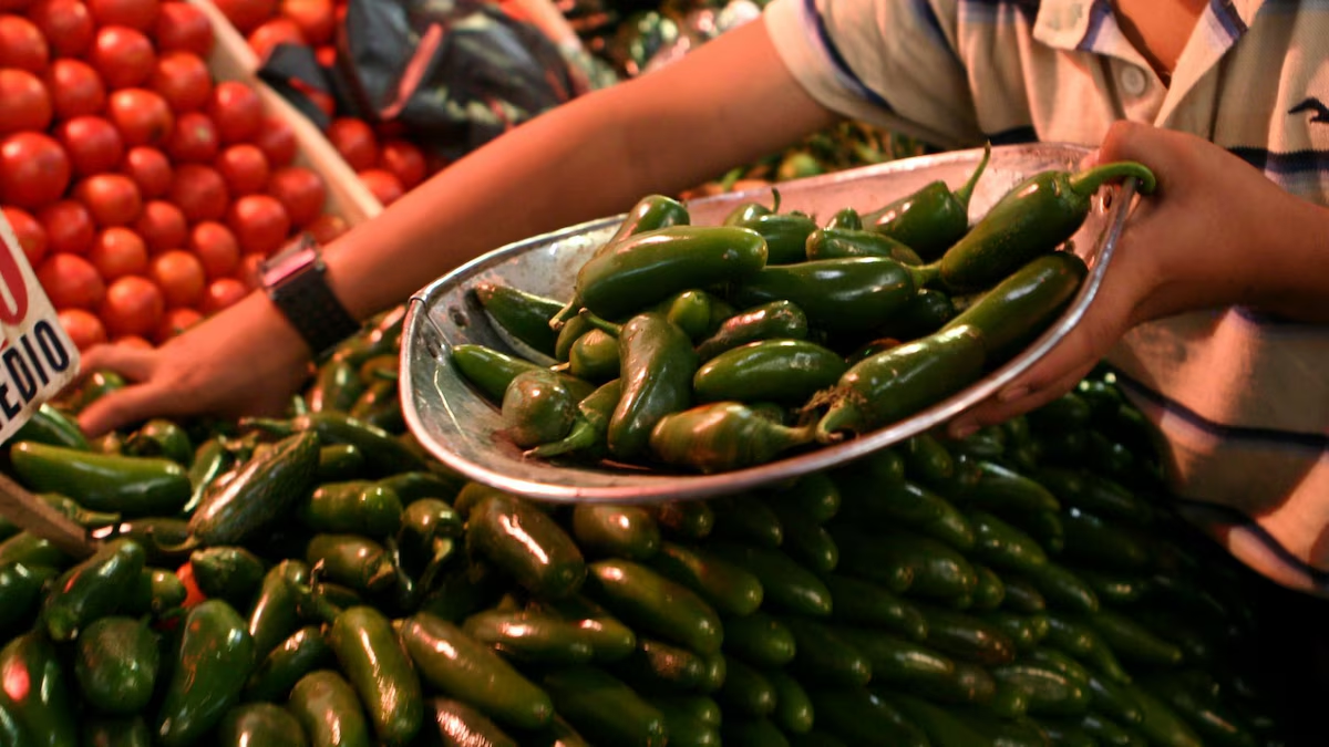 Brote de salmonela en EU: Cofepris investiga planta empacadora de chiles jalapeños en Nuevo León