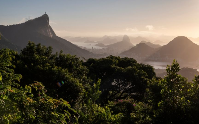 Muer*n cuatro personas tras desplome de un helicóptero en un área boscosa de Río de Janeiro