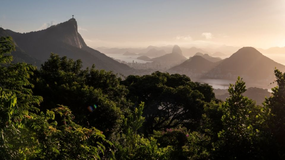 Muer*n cuatro personas tras desplome de un helicóptero en un área boscosa de Río de Janeiro