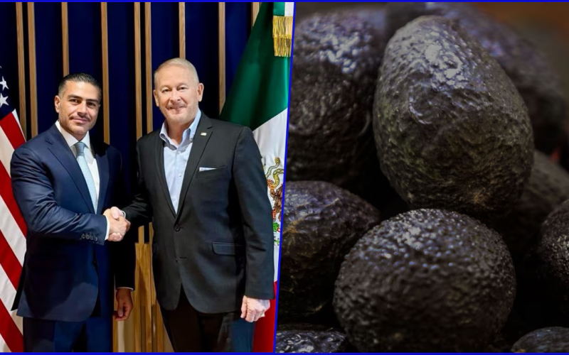 Johnson reconoce avances en seguridad en Michoacán: ‘Negocio del aguacate es mutuamente beneficioso’