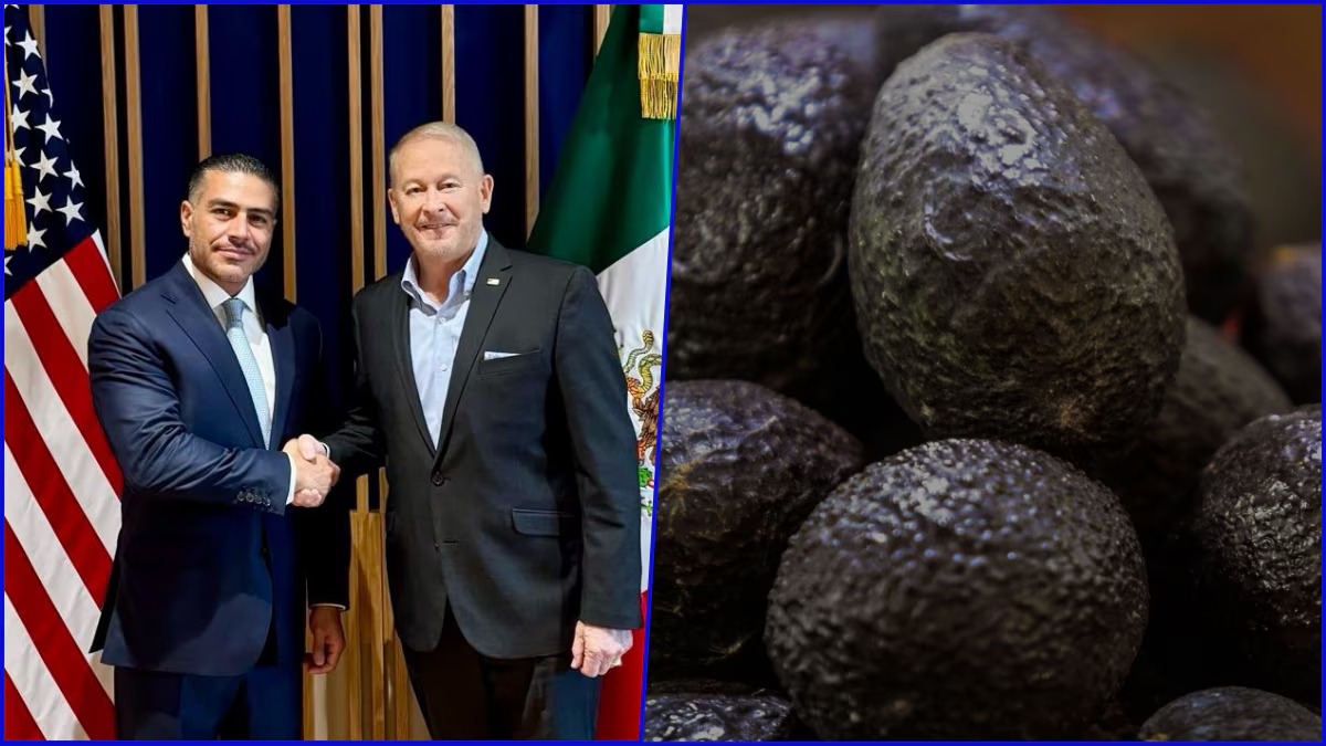 Johnson reconoce avances en seguridad en Michoacán: ‘Negocio del aguacate es mutuamente beneficioso’