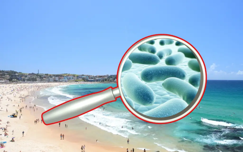¿Vas a la playa este verano? La bacteria «comecarne» deja siete mu3rtes en EE. UU.: así puedes prevenir una infección