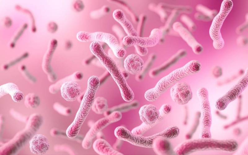 Asciende a siete la cifra de muert*s por una bacteria carnívora en EU tras registrarse nuevos casos este año