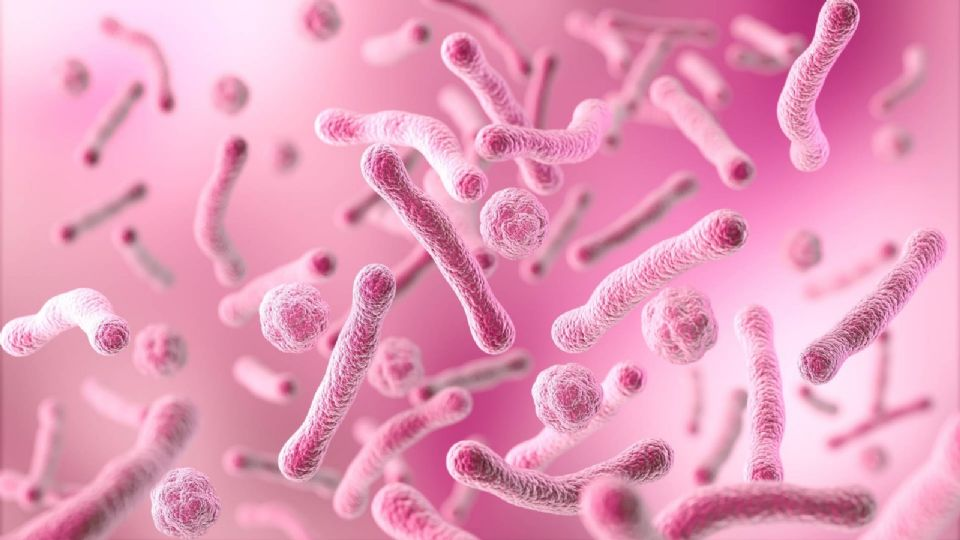 Asciende a siete la cifra de muert*s por una bacteria carnívora en EU tras registrarse nuevos casos este año