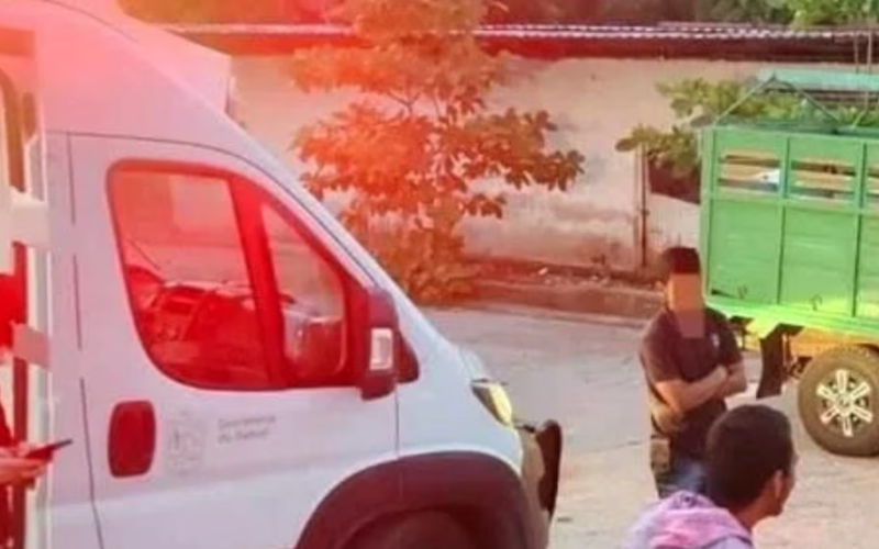 Asesin4n a madre y a su bebé en Michoacán: una adulta mayor quedó herida de gravedad