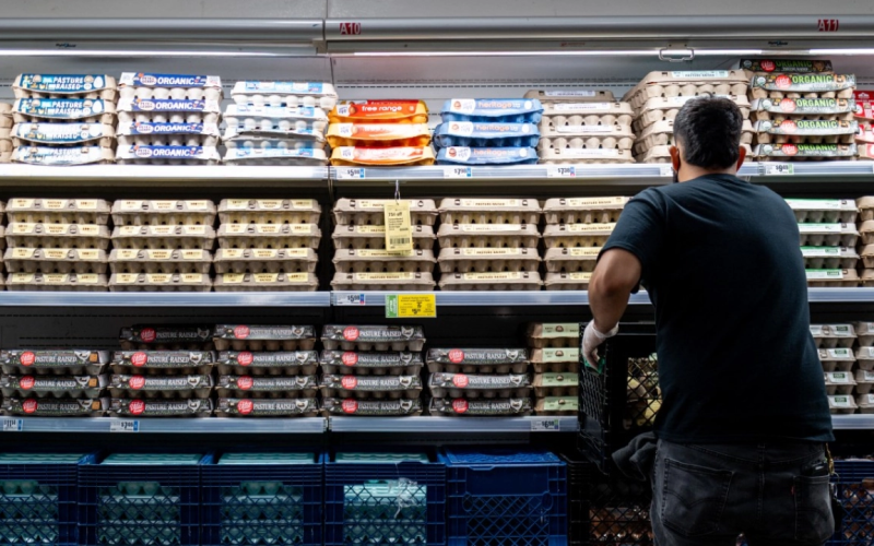 EU retirá 19 millones de huevos del mercado por bacteria potencialmente mortal