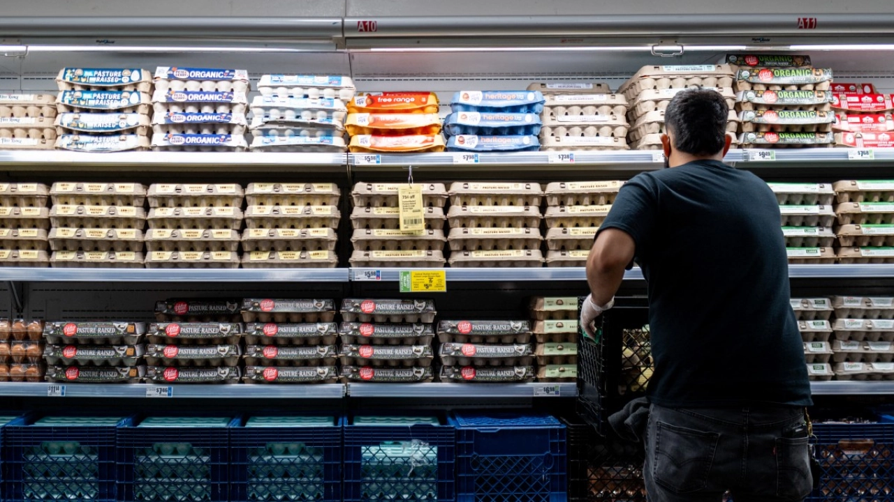 EU retirá 19 millones de huevos del mercado por bacteria potencialmente mortal