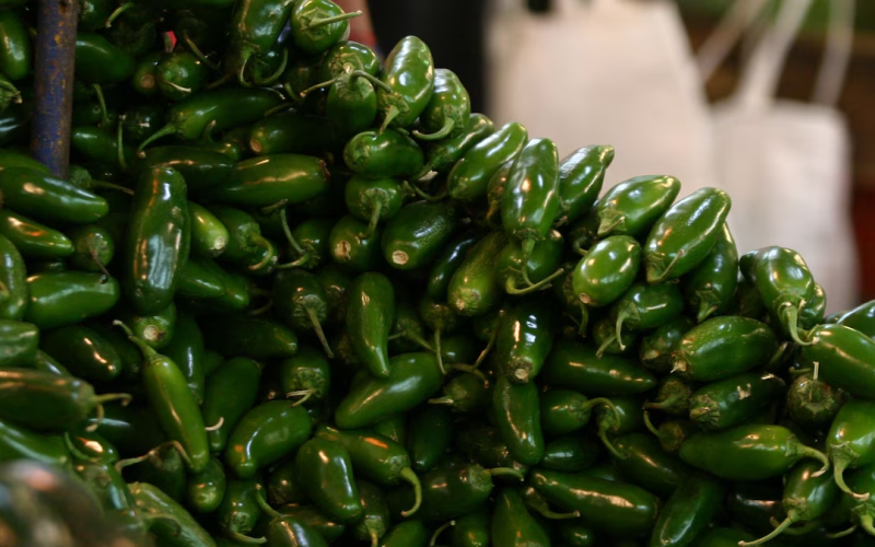 Cofepris descarta brote de salmonela en chile jalapeño de una planta en Nuevo León