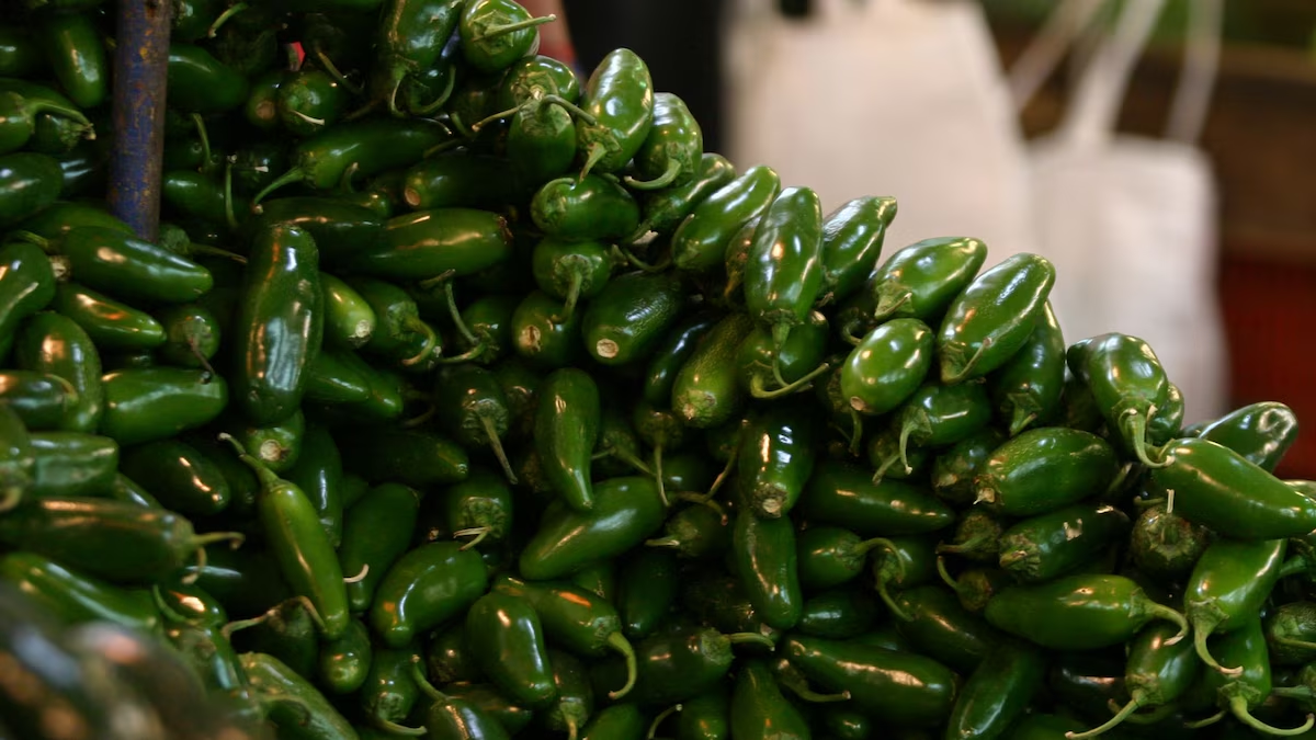 Cofepris descarta brote de salmonela en chile jalapeño de una planta en Nuevo León