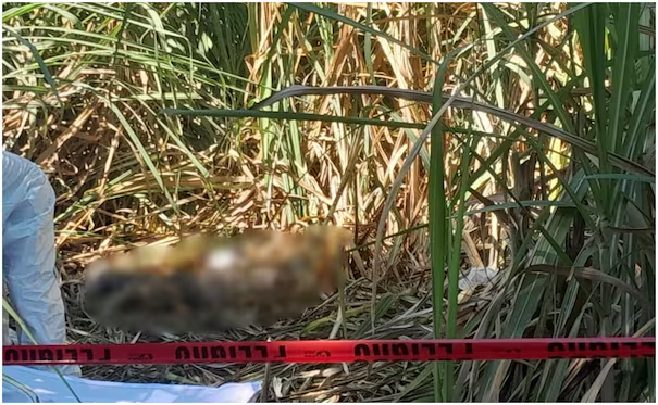 Identifican r3stos humanos hallados en la zona montañosa de Veracruz; la víctima desapareció tras abordar un taxi