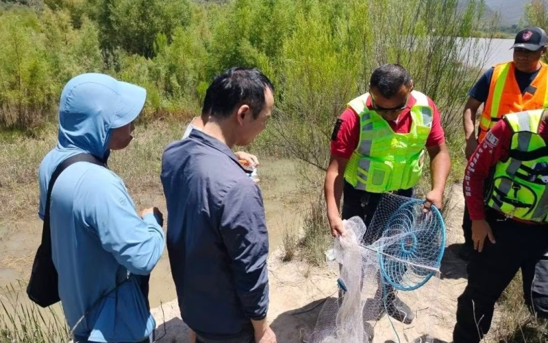Retiran atarraya a 11 extranjeros durante operativo preventivo en Ramos Arizpe