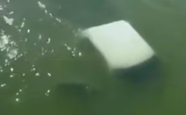Mu3ren cuatro elementos de la Semar en Tamaulipas; la camioneta en la que viajaban cayó a un río