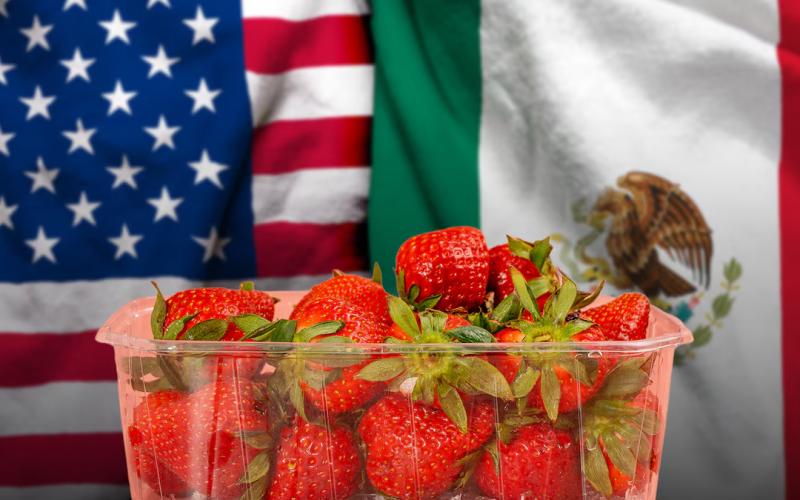 EU ‘castiga’ a fresa mexicana y amenaza con arancel de 5.28% por ‘dumping’: ‘No hay bases’, responde México
