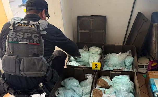VIDEO: catean inmueble ligado a «Los Rusos» en Baja California; aseguran más de 4 millones de dosis de f*ntanilo