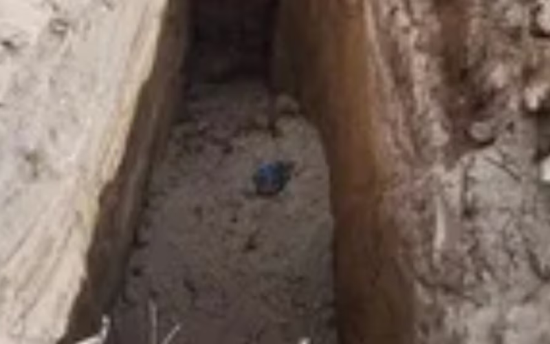 Así localizaron las fosas del ayuntamiento de Altepexi donde terminaban los perros recogidos de la calle