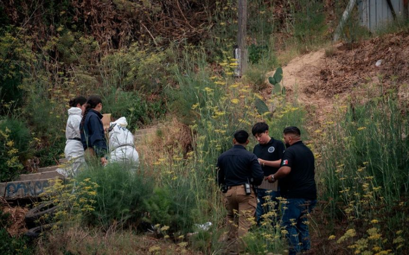 Hallan cu3rpo de mujer con 4rma clavada en el pecho; suman 30 feminicidios en el año en Veracruz