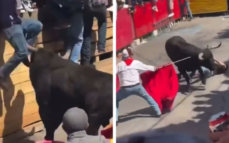 Un toro m*ta a un hombre de 29 años durante la Huamantlada en Tlaxcala; además, hay 11 personas heridas