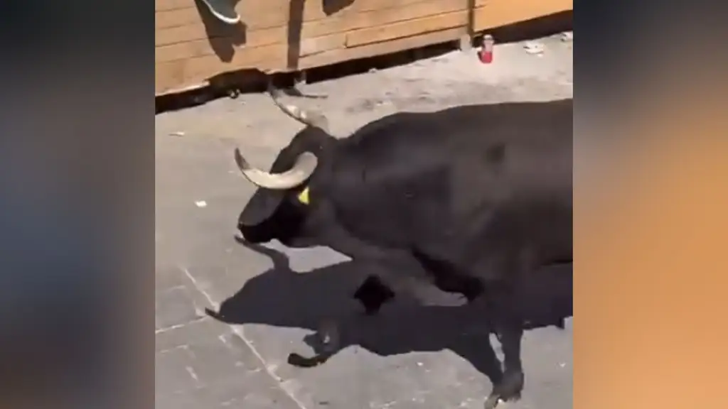 Hombre muer3 por cornada de toro en la Huamantlada 2026; hay al menos 10 heridos