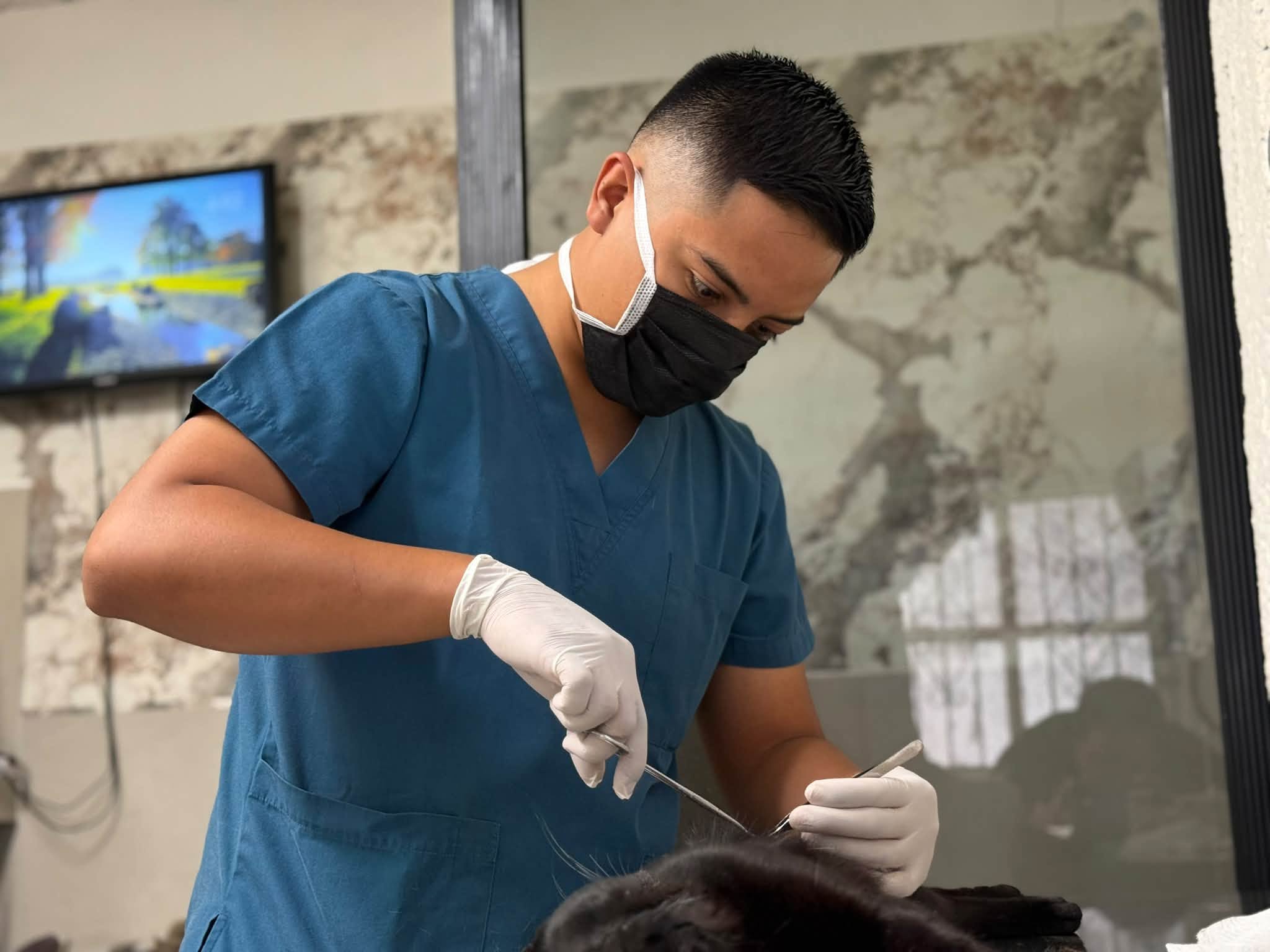 Impulsa Parras bienestar animal con 900 esterilizaciones