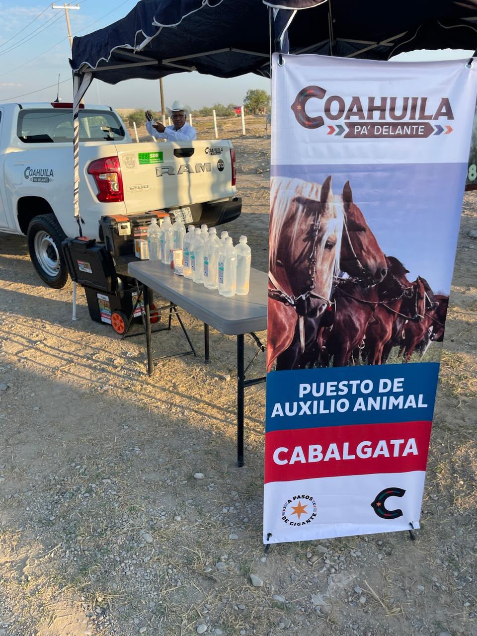 Atienden médicos a caballos en travesía