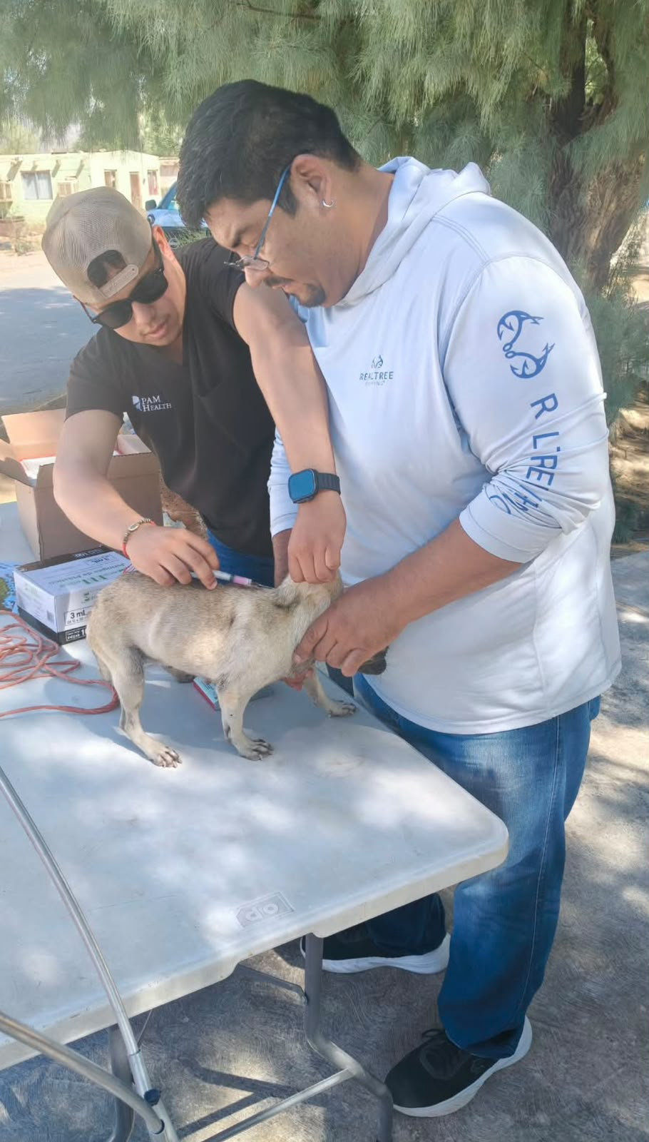Vacunan y desparasitan a 60 mascotas en Cuatro Ciénegas