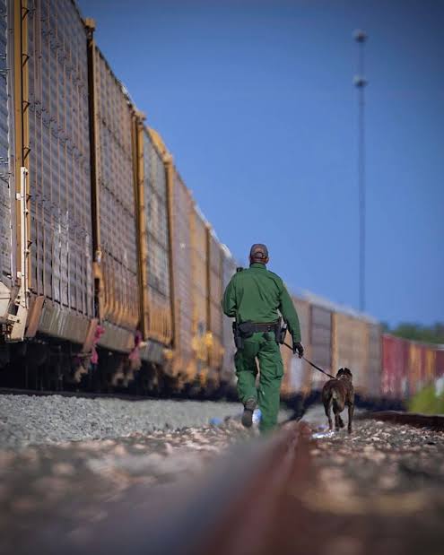 Rescatan agentes a migrantes en vagón