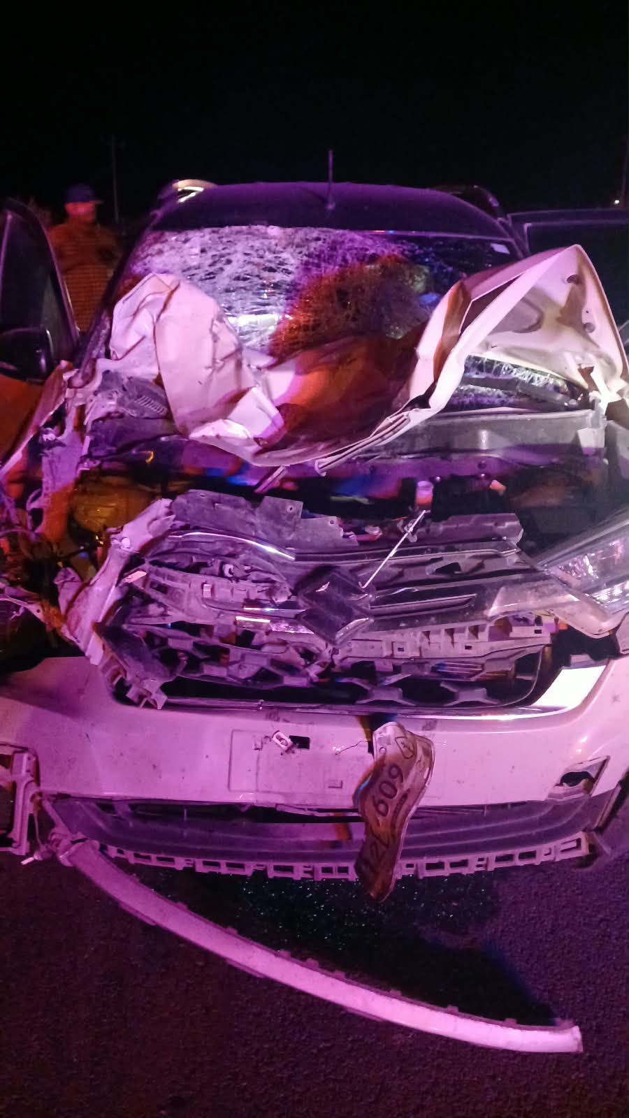 Provoca vaca aparatoso choque en carretera