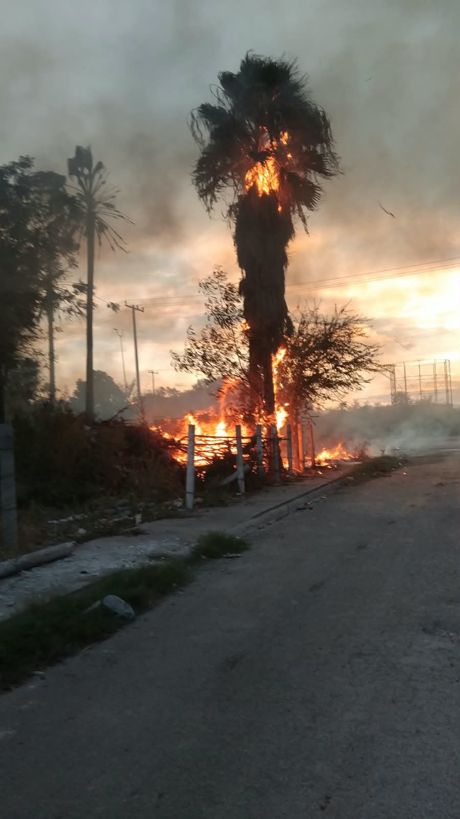 Provocan pirómanos incendio en lote baldío