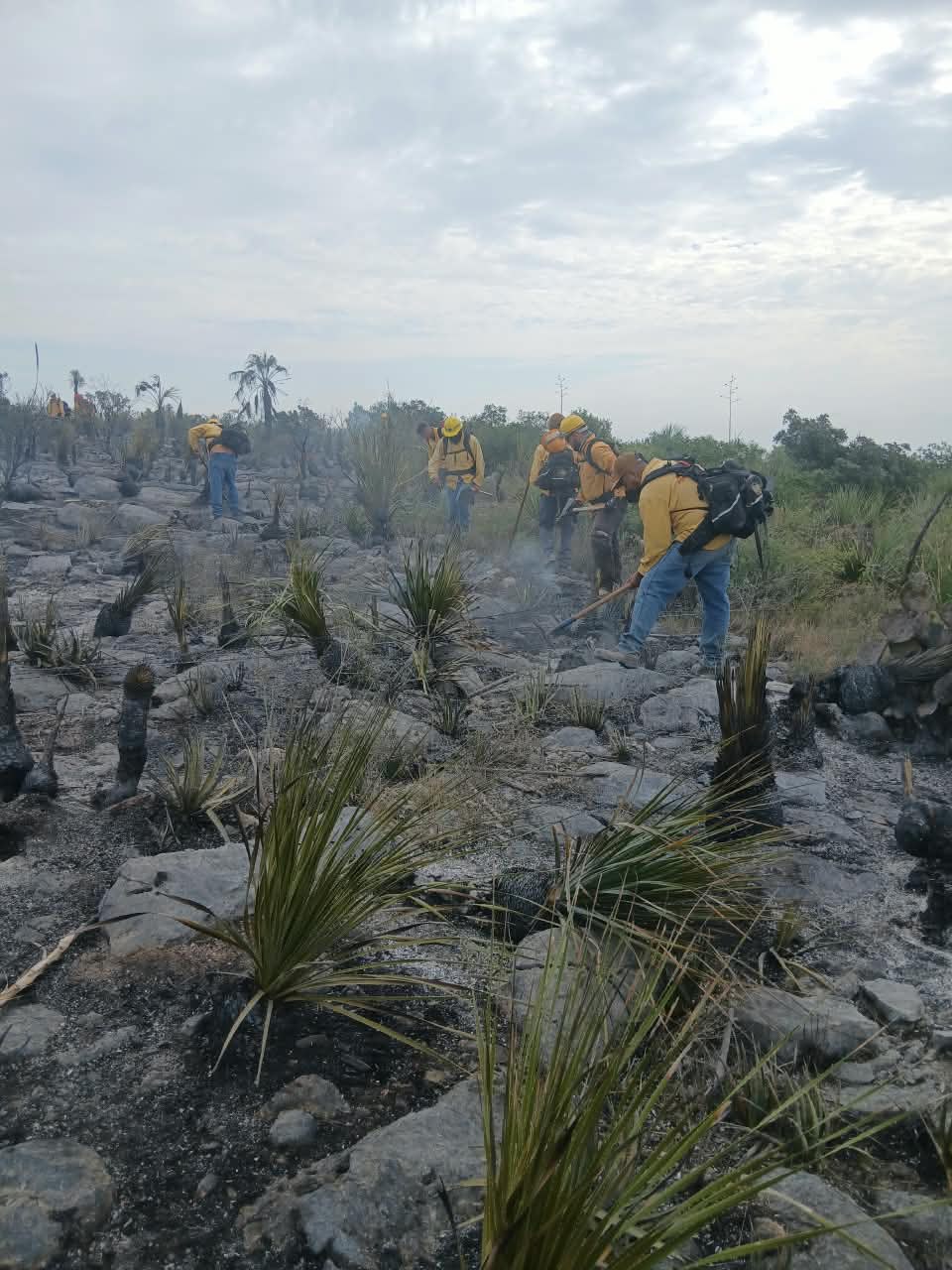 Desata rayo un incendio en serranía de Múzquiz