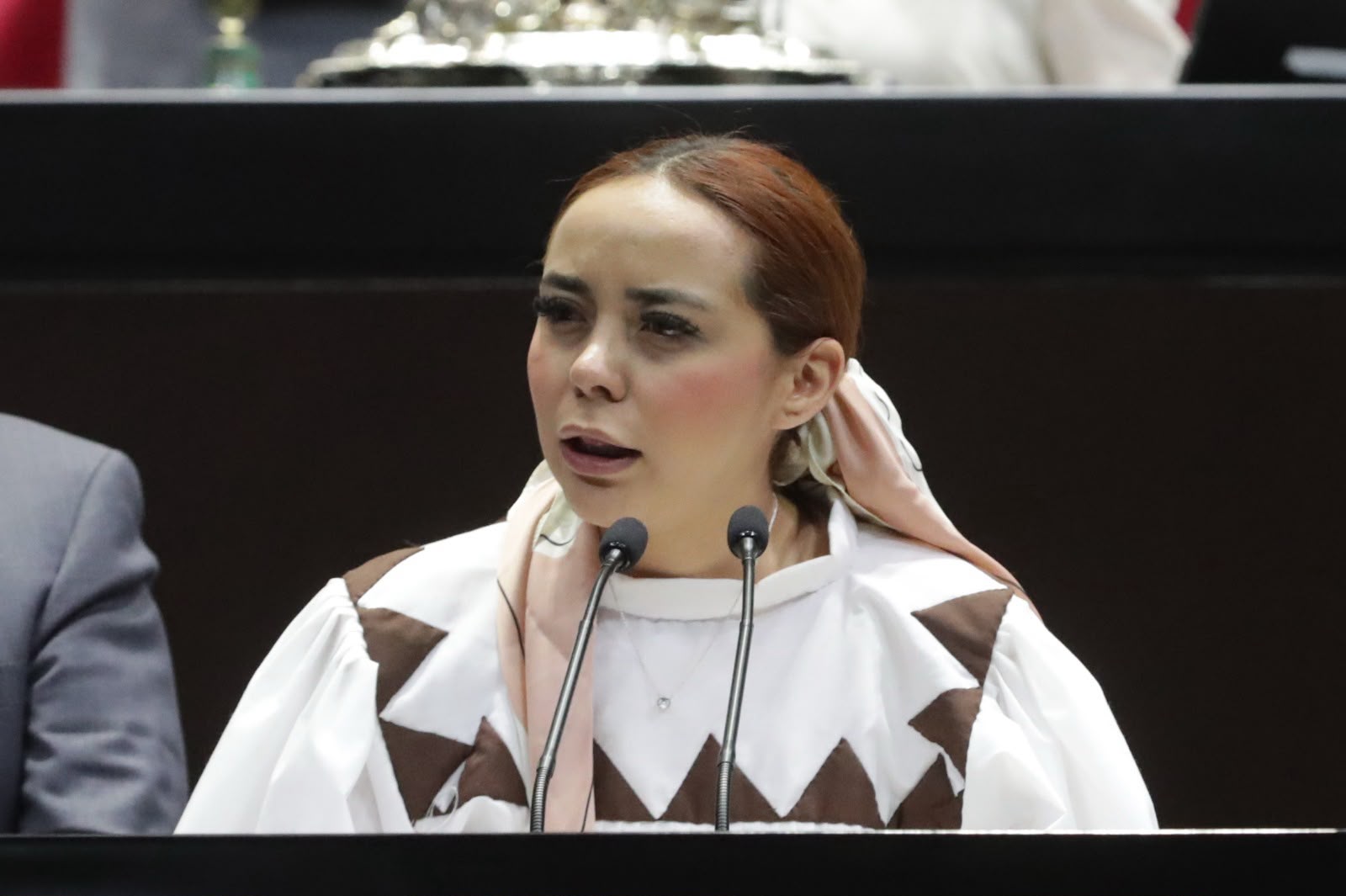 Plantean incluir y definir el concepto de bomberas y bomberos en la Ley General de Protección Civil