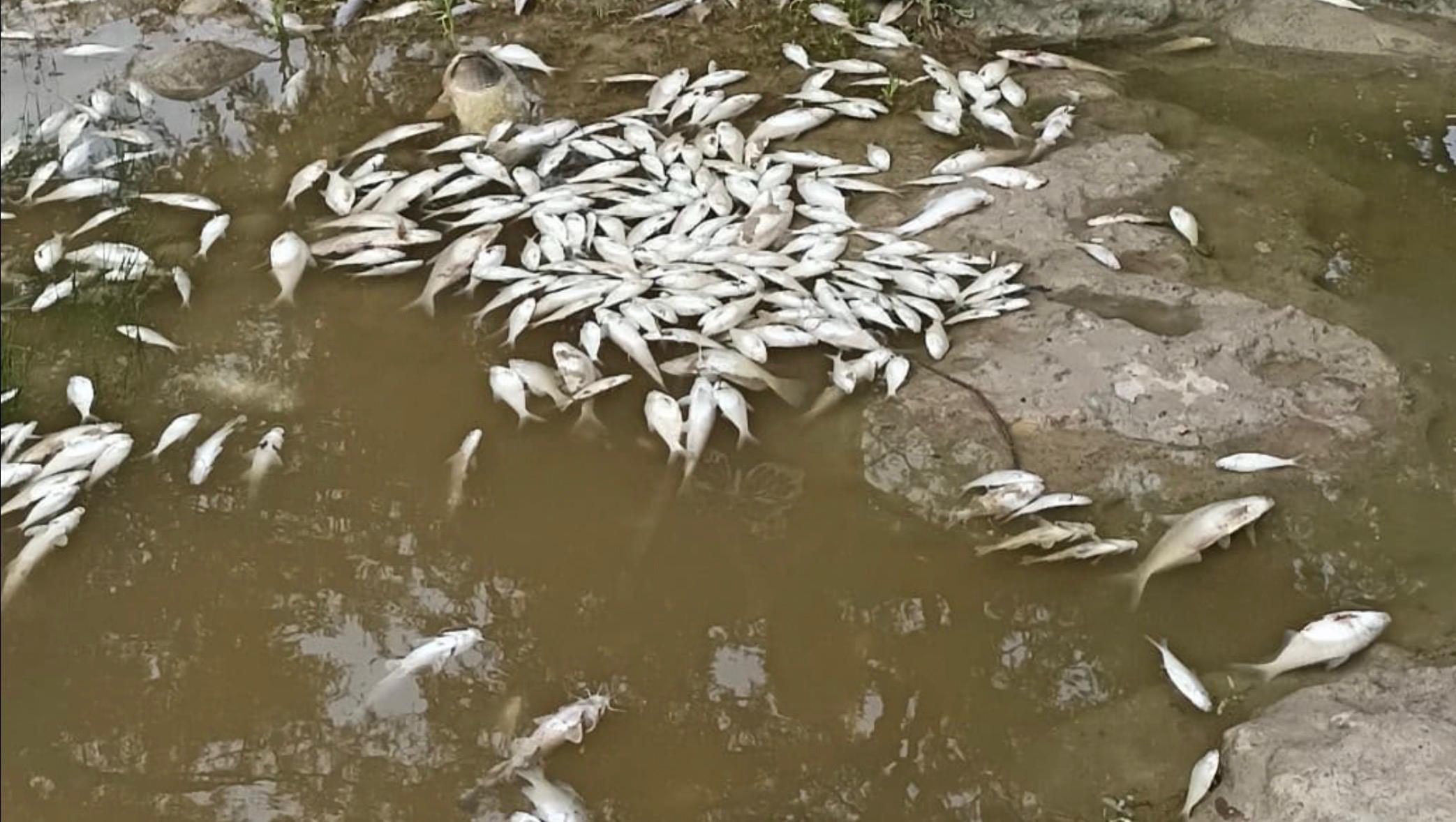 Pondrá Conagua 50% para planta tratadora