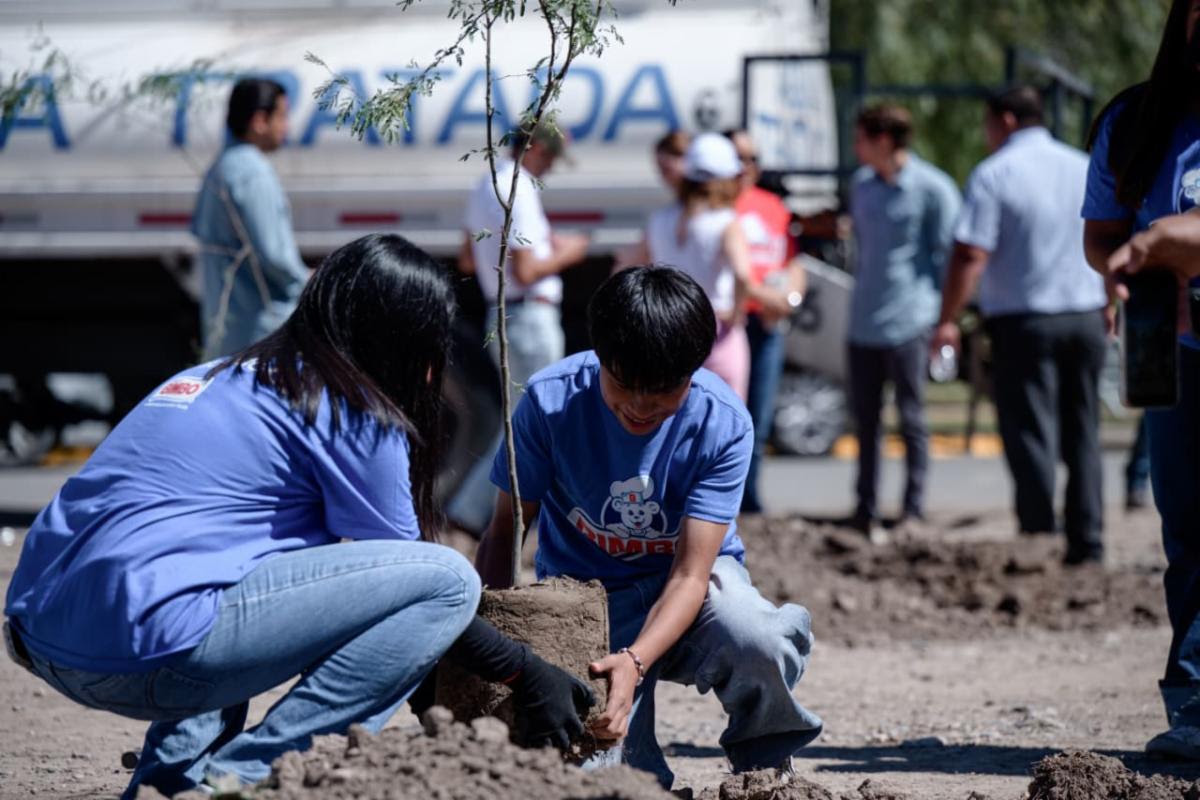 La reforestación en Saltillo es permanente: Javier Díaz