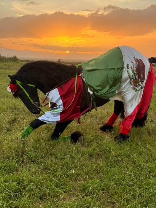 San Buena prepara su primera gran cabalgata nocturna regional
