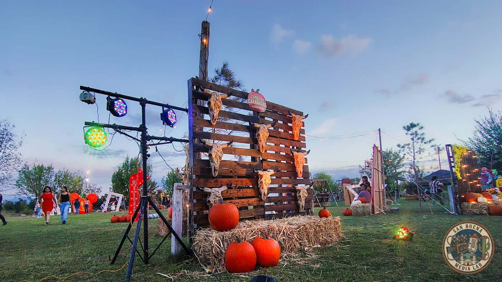 Inauguran quinta edición de cosecha de Calabazas Roni