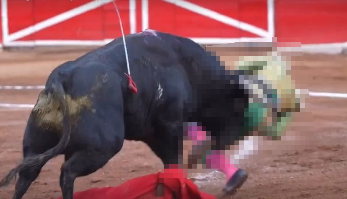Torero mexicano sufre grave cornada de 35 centímetros en axila, cuello y tórax durante corrida en Zacatecas