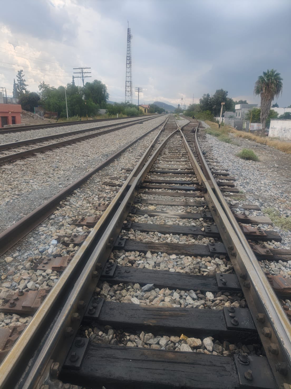 Comunicará tren a Ramos con Saltillo en 15 minutos