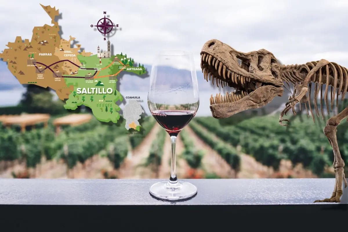 “Vinos y Dinos” abre camino para Parras