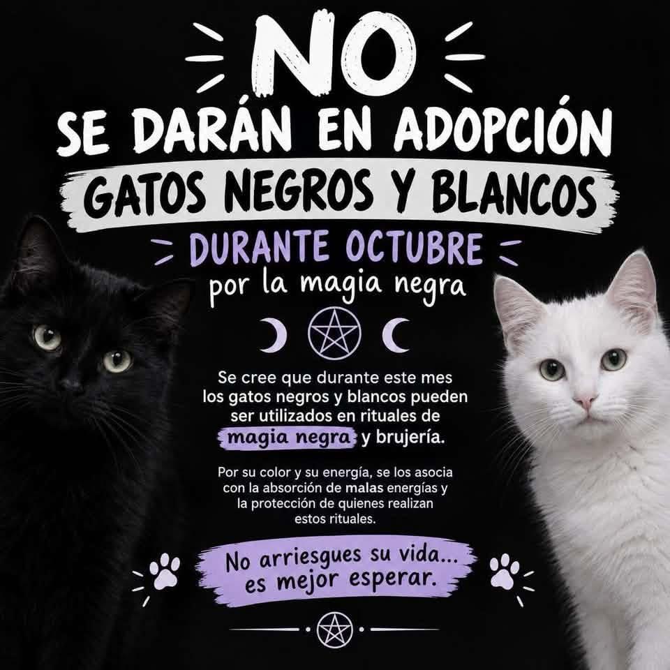 Preparan en Monclova el Festival Flores y Calaveras