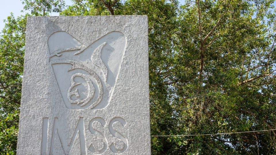 IMSS entrega a dos recién nacidas a las familias equivocadas; tras un mes, prueba de ADN confirma el error y son devueltas