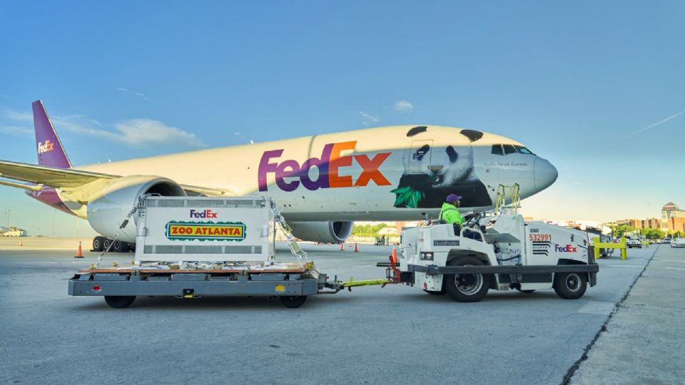 Llega la pareja de pandas Ping Ping y Fu Shuang a Atlanta tras nuevo acuerdo con China