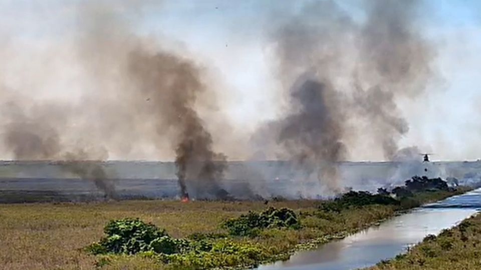 Incendio en Miami consume más de 100 hectáreas de áreas naturales; avanzan labores sólo en el 10%