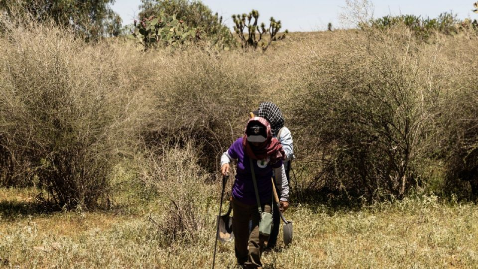 Expertos de la ONU exigen al gobierno de México proteger a las madres buscadoras ante los niveles «alarmantes» de violencia