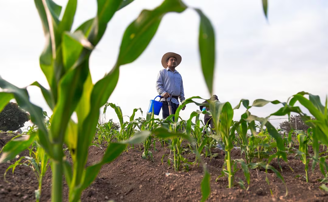 Resaltan gas natural como clave para la seguridad alimentaria en México