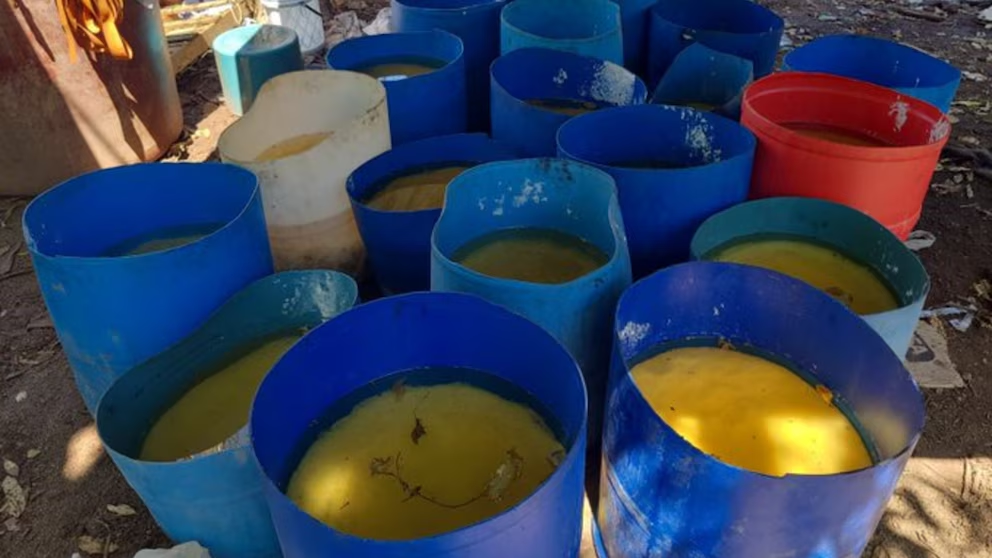 Decomisaron casi 17 toneladas de metanfetamina en Sinaloa equivalente a 347 millones de dólares