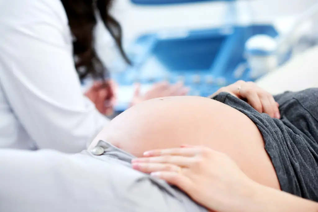Anuncian propuesta para castigar la maternidad subrogada como trata de personas
