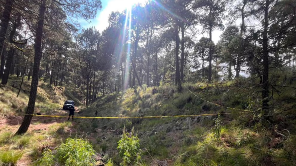 Senderistas paseaban en el bosque y encontraron un cadáv3r en el Parque Nacional Iztaccíhuatl-Popocatépetl, en Edomex