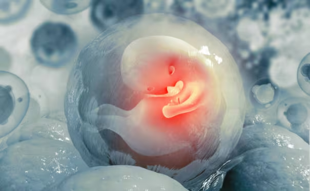 Nace bebé de un embrión congelado hace 22 años en Grecia; familia pide eliminar límite de edad para fecundación in vitro