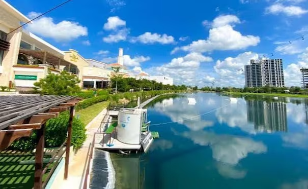 Muere hombre por probable caso de «ameba comecerebros» en Mérida, Yucatán; cierran lago de Plaza La Isla donde trabajaba la víctima